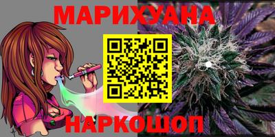 apvp Нальчик