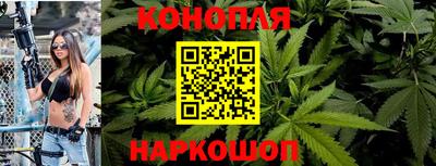 apvp Нальчик