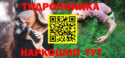 apvp Нальчик